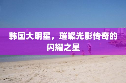韩国大明星，璀璨光影传奇的闪耀之星