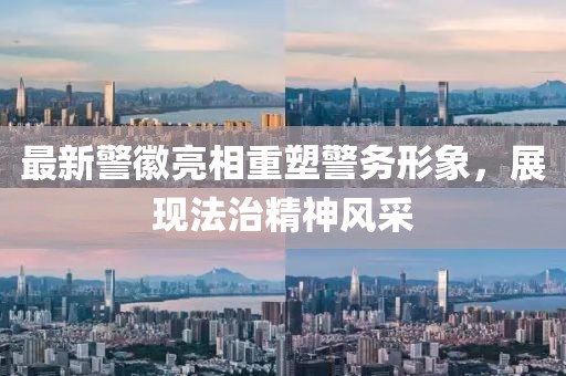 最新警徽亮相重塑警务形象，展现法治精神风采