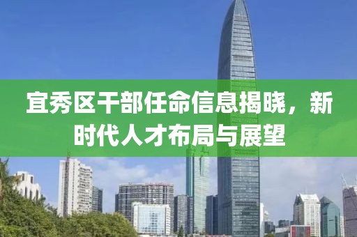 宜秀区干部任命信息揭晓，新时代人才布局与展望