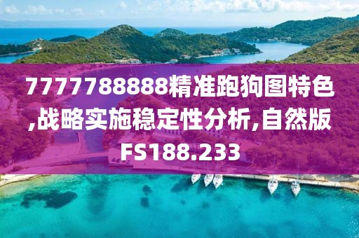7777788888精准跑狗图特色,战略实施稳定性分析,自然版FS188.233