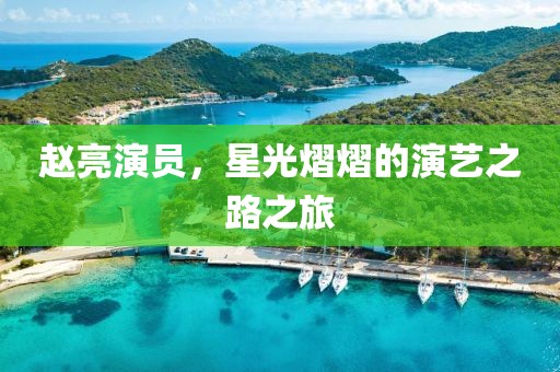 赵亮演员，星光熠熠的演艺之路之旅