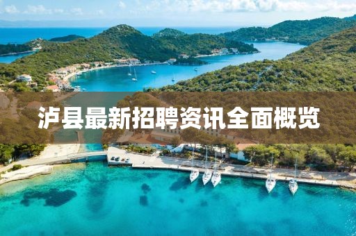 泸县最新招聘资讯全面概览