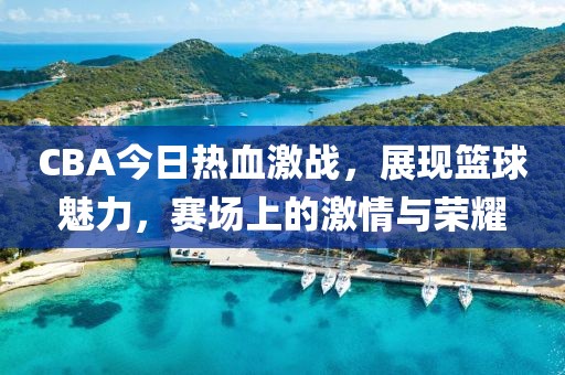 CBA今日热血激战，展现篮球魅力，赛场上的激情与荣耀