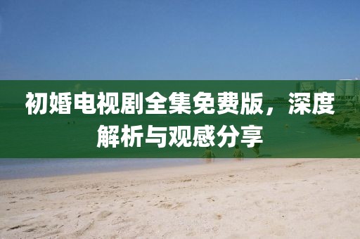 初婚电视剧全集免费版，深度解析与观感分享