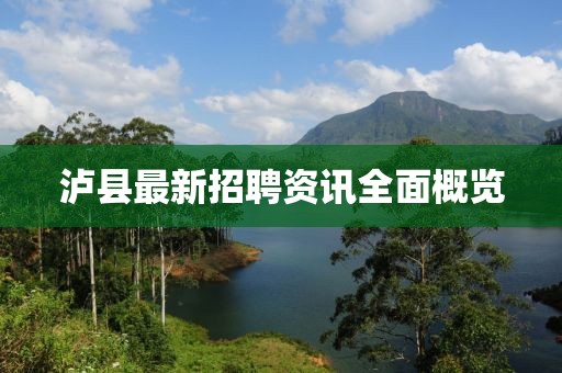 泸县最新招聘资讯全面概览