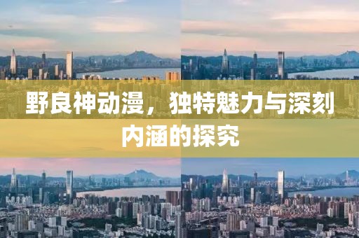 野良神动漫，独特魅力与深刻内涵的探究