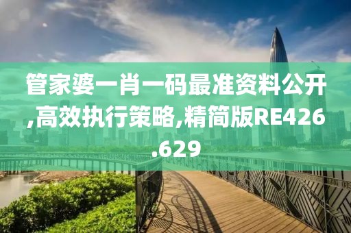 管家婆一肖一码最准资料公开,高效执行策略,精简版RE426.629