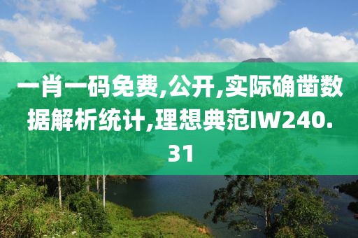 一肖一码免费,公开,实际确凿数据解析统计,理想典范IW240.31