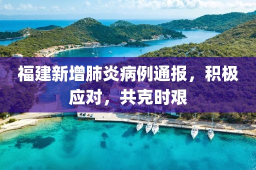 福建新增肺炎病例通报，积极应对，共克时艰