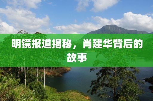 明镜报道揭秘，肖建华背后的故事