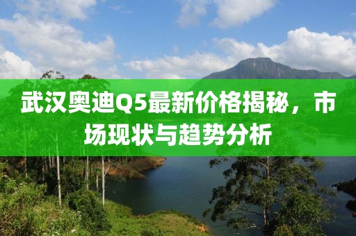武汉奥迪Q5最新价格揭秘，市场现状与趋势分析