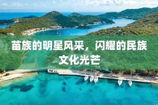 苗族的明星风采，闪耀的民族文化光芒
