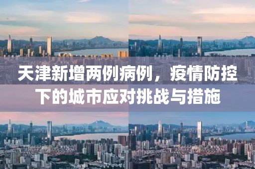 天津新增两例病例，疫情防控下的城市应对挑战与措施