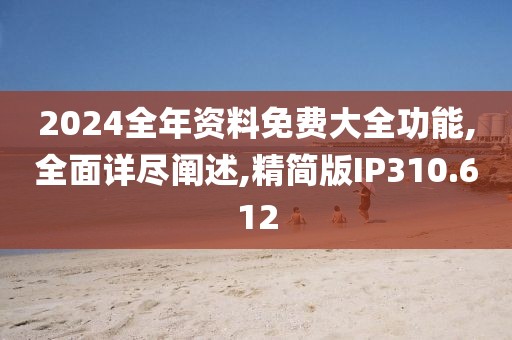2024全年资料免费大全功能,全面详尽阐述,精简版IP310.612