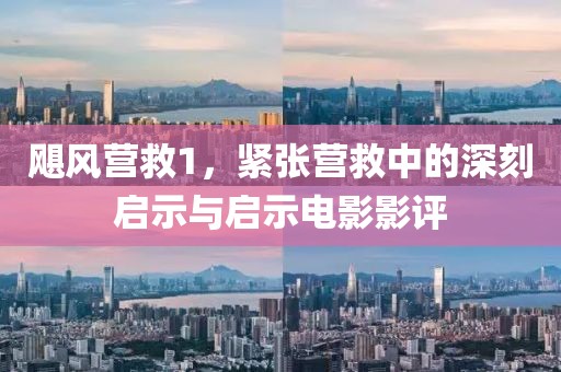 飓风营救1，紧张营救中的深刻启示与启示电影影评