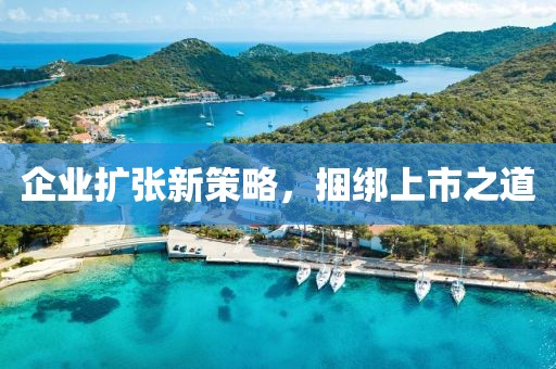 企业扩张新策略，捆绑上市之道