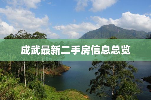 成武最新二手房信息总览