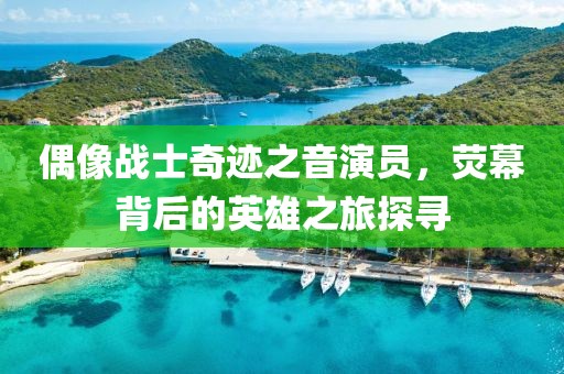 偶像战士奇迹之音演员，荧幕背后的英雄之旅探寻