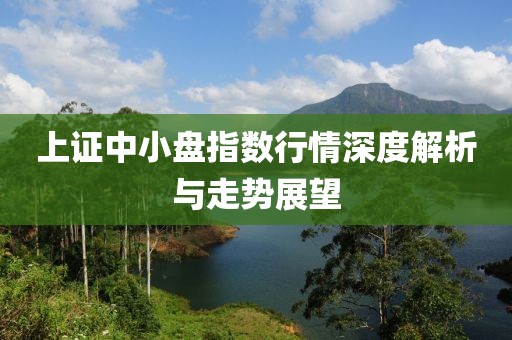 上证中小盘指数行情深度解析与走势展望