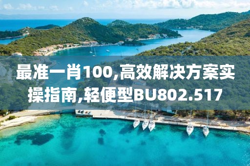最准一肖100,高效解决方案实操指南,轻便型BU802.517