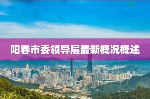 阳春市委领导层最新概况概述