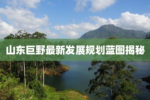 山东巨野最新发展规划蓝图揭秘