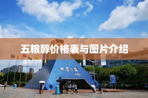 五粮醇价格表与图片介绍