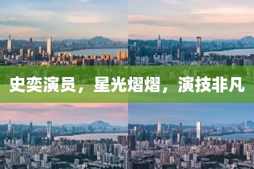 史奕演员，星光熠熠，演技非凡