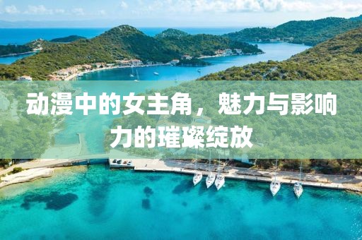 动漫中的女主角，魅力与影响力的璀璨绽放