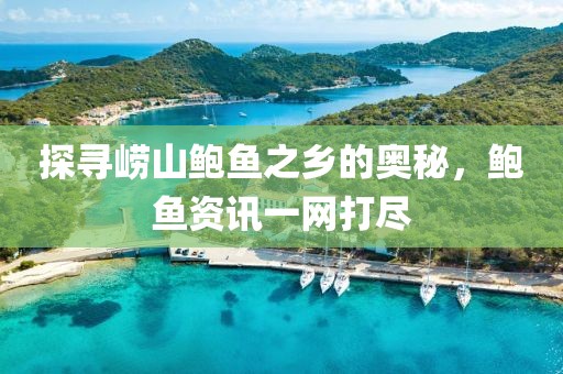 探寻崂山鲍鱼之乡的奥秘，鲍鱼资讯一网打尽