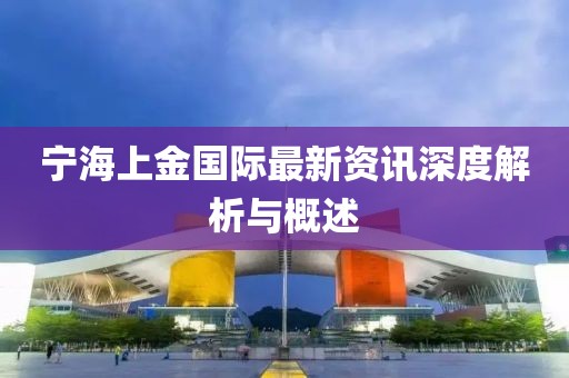宁海上金国际最新资讯深度解析与概述