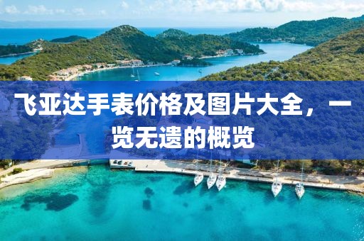 飞亚达手表价格及图片大全，一览无遗的概览
