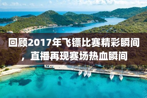 回顾2017年飞镖比赛精彩瞬间，直播再现赛场热血瞬间