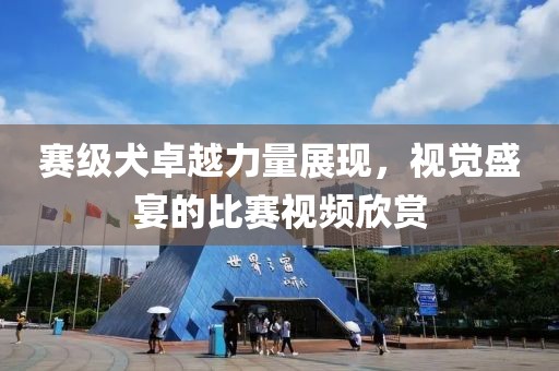 赛级犬卓越力量展现，视觉盛宴的比赛视频欣赏