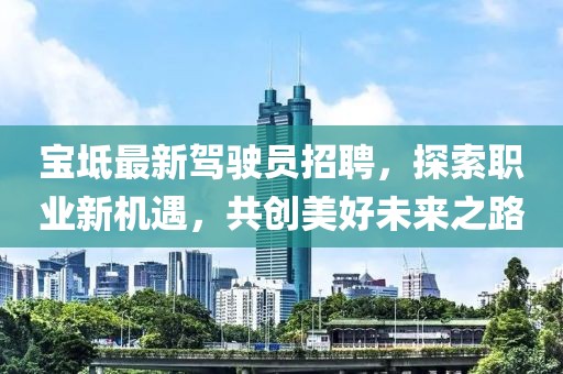 宝坻最新驾驶员招聘，探索职业新机遇，共创美好未来之路