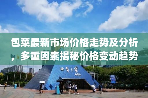 包菜最新市场价格走势及分析，多重因素揭秘价格变动趋势