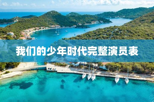 我们的少年时代完整演员表