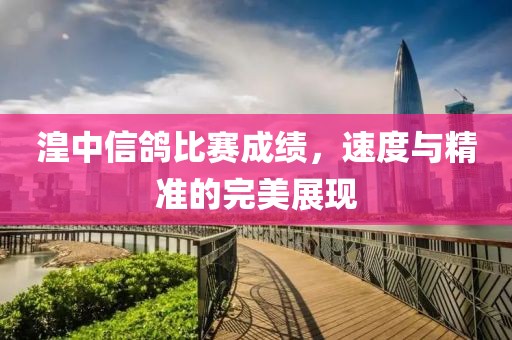 湟中信鸽比赛成绩，速度与精准的完美展现