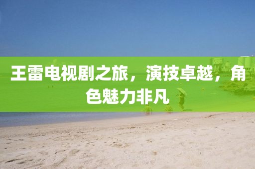 王雷电视剧之旅，演技卓越，角色魅力非凡