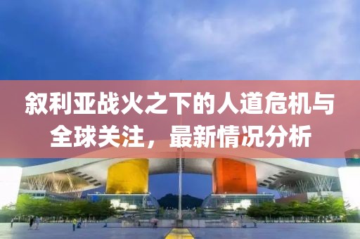 叙利亚战火之下的人道危机与全球关注，最新情况分析