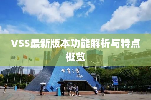 VSS最新版本功能解析与特点概览