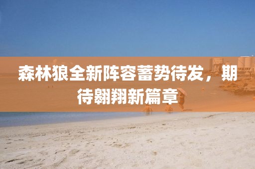 森林狼全新阵容蓄势待发，期待翱翔新篇章