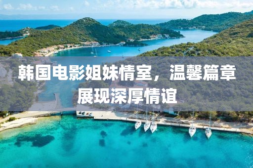 韩国电影姐妹情室，温馨篇章展现深厚情谊