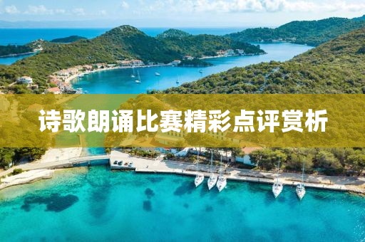 诗歌朗诵比赛精彩点评赏析