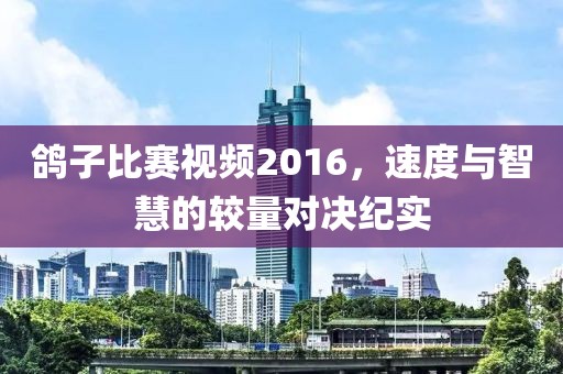 鸽子比赛视频2016，速度与智慧的较量对决纪实