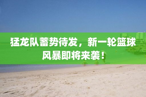 猛龙队蓄势待发，新一轮篮球风暴即将来袭！