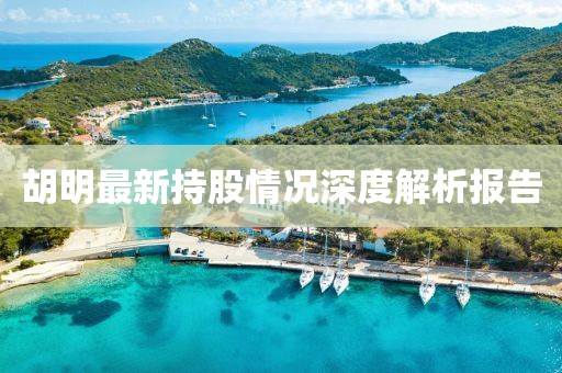 胡明最新持股情况深度解析报告