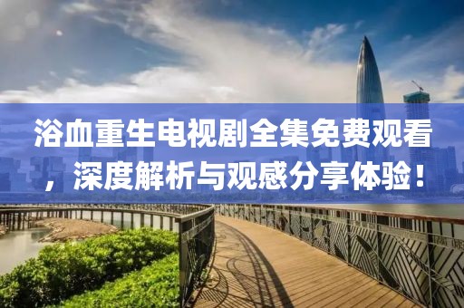 浴血重生电视剧全集免费观看，深度解析与观感分享体验！
