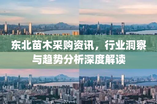 东北苗木采购资讯，行业洞察与趋势分析深度解读