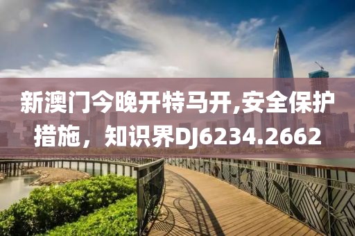 新澳门今晚开特马开,安全保护措施，知识界DJ6234.2662
